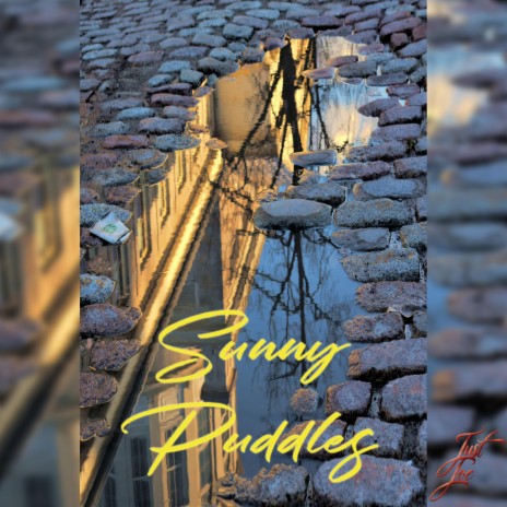 Sunny Puddles | Boomplay Music