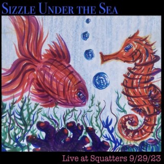 Sizzle Under The Sea (Live At Squatters 9/29/23)
