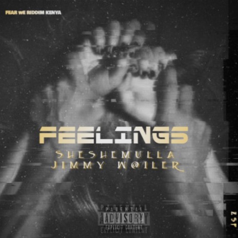 Feelings ft. Sheshemulla | Boomplay Music