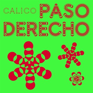 PASO DERECHO