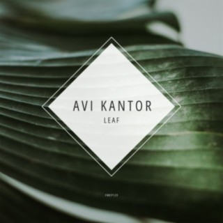 Avi Kantor