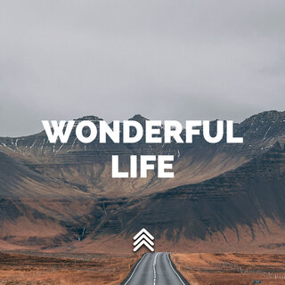 Wonderful Life