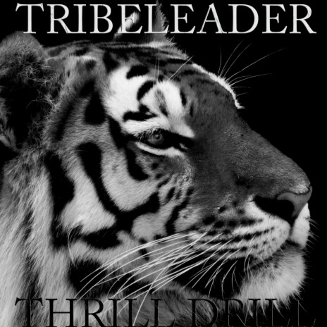 THRILL DRILL (Instrumental) | Boomplay Music