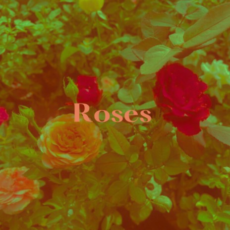 ROSES | Boomplay Music