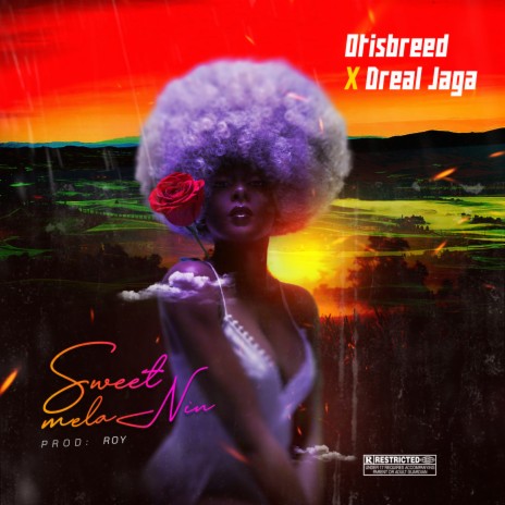 Sweet Melanin ft. Dreal Jaga | Boomplay Music