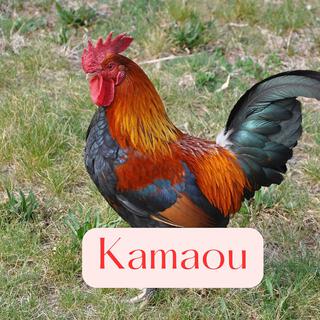 Kamaou