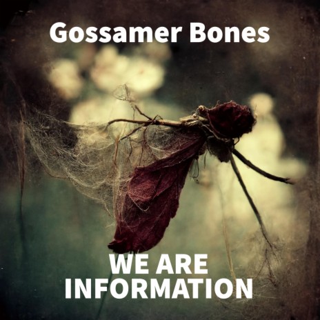 Gossamer Bones | Boomplay Music
