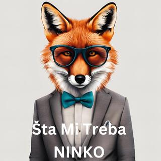 Šta Mi Treba