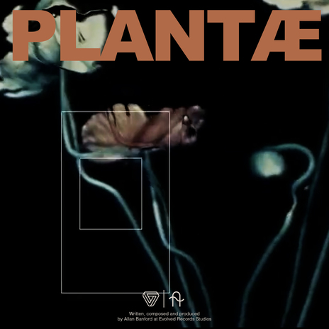 Plantæ | Boomplay Music