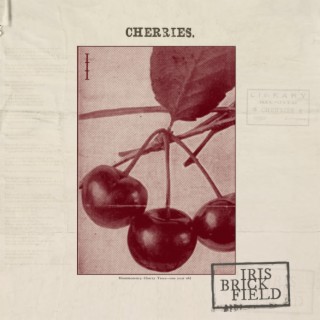 Cherries lyrics | Boomplay Music