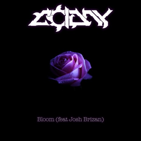 Bloom ft. Josh Brizan | Boomplay Music