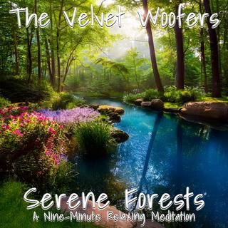 Serene Forests: A Nine-Minute Relaxing Meditation