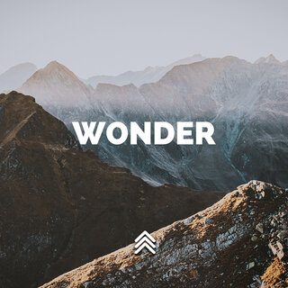 Wonder