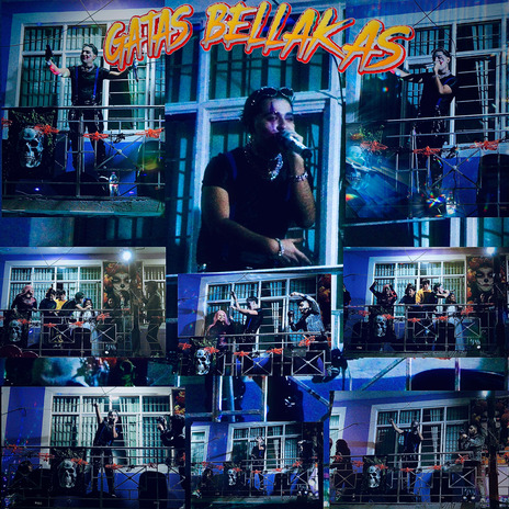 GATAS BELLAKAS | Boomplay Music