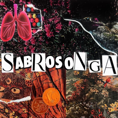 Sabrosonga | Boomplay Music