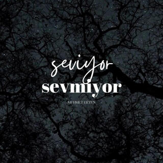 Seviyor Sevmiyor lyrics | Boomplay Music