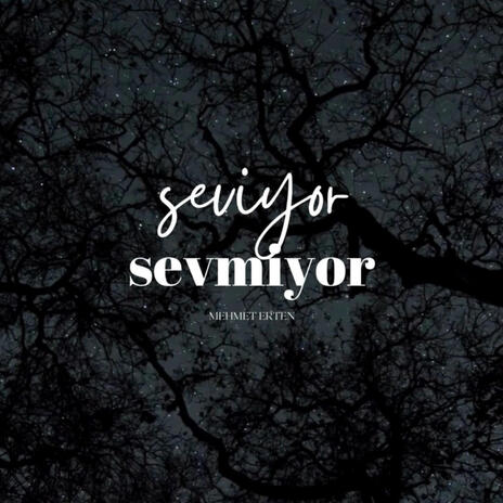 Seviyor Sevmiyor | Boomplay Music