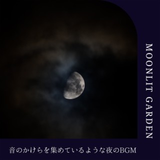 音のかけらを集めているような夜のbgm