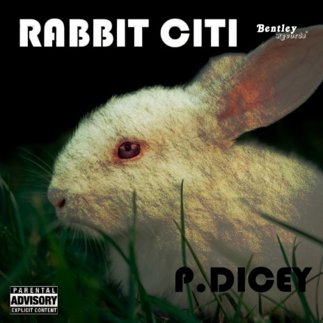 Rabbit Citi | Boomplay Music