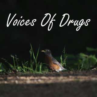 Voices Of Drugs