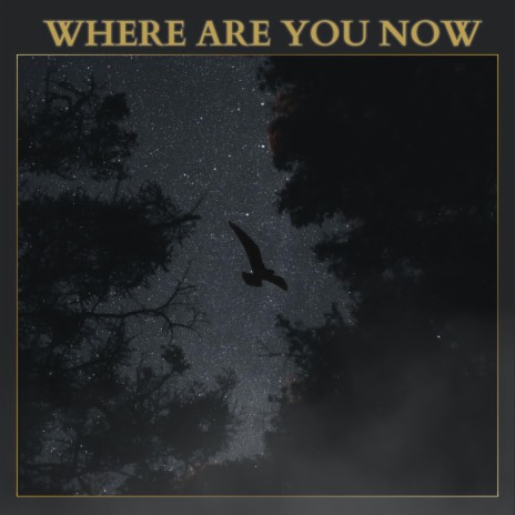 Where Are You Now | Boomplay Music