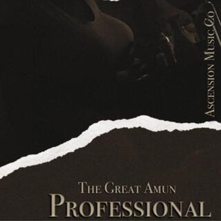 Professional (Remix)