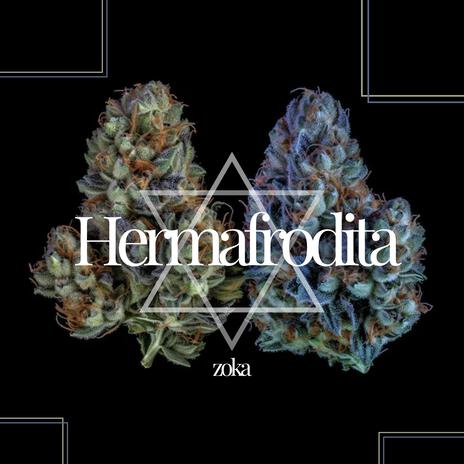 Hermafrodita | Boomplay Music