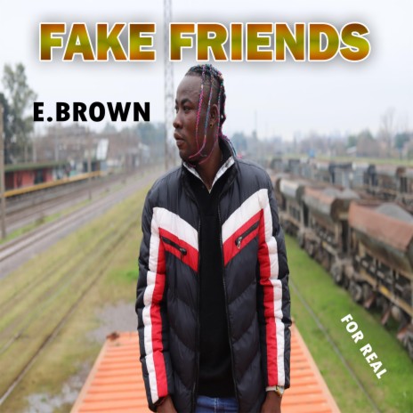 Fake Friends | Boomplay Music