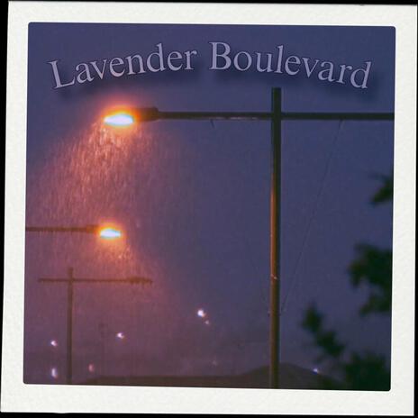 Lavender Boulevard | Boomplay Music