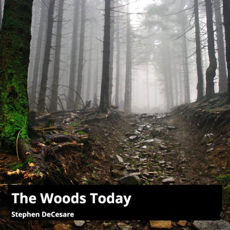 The Woods Today | Boomplay Music