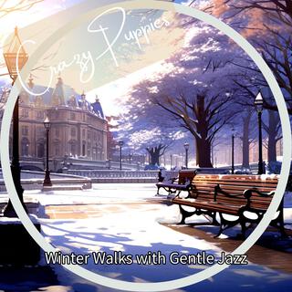 Winter Walks with Gentle Jazz