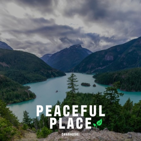 Peaceful Place | Boomplay Music