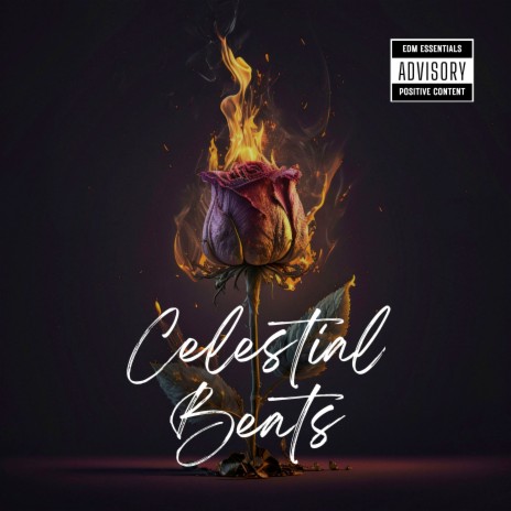 Celestial Beats | Boomplay Music