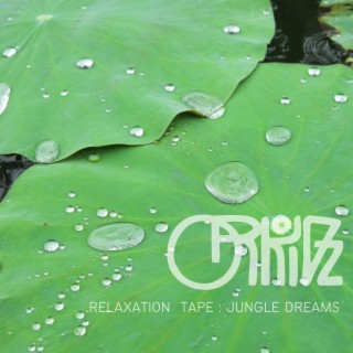 Relaxation tape: Jungle Dreams