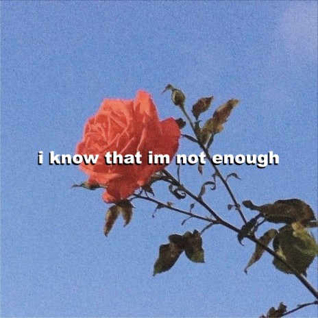I Know That Im Not Enough | Boomplay Music