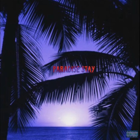 Paradise Stay | Boomplay Music