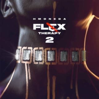 Flex Therapy 2