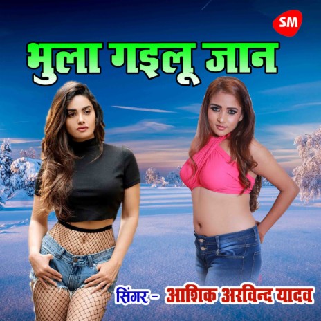 Bhula Gayilu Jaan | Boomplay Music