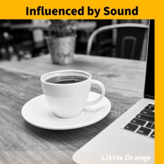 Influenced by Sound