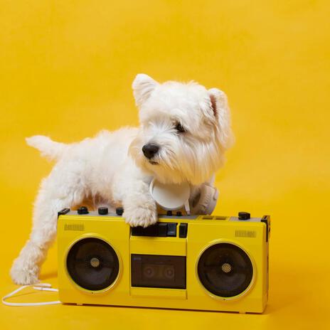 Training Tunes for Animals | Boomplay Music