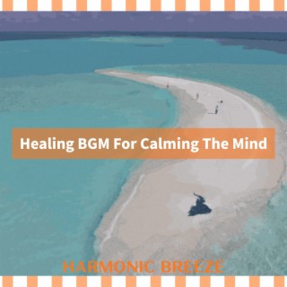 Healing BGM For Calming The Mind