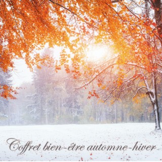 Coffret bien-être automne-hiver: Musique relaxante de détente, méditation, hamman, shiatsu, réflexologie plantaire et massage