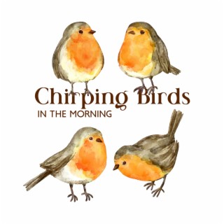 Chirping Birds in the Morning: Sunrise Meditation and Yoga for Boost Your Mood & Healing Nature Sounds