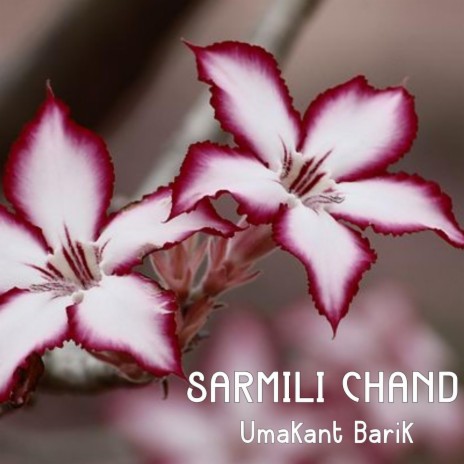 SARMILI CHAND | Boomplay Music