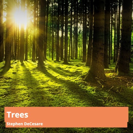 Trees | Boomplay Music