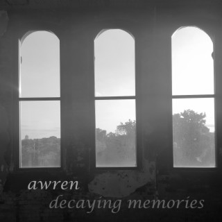decaying memories