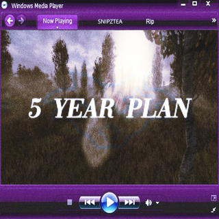 5 Year Plan