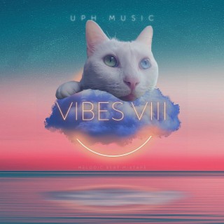 Vibes VIII