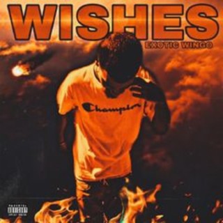 Wishes