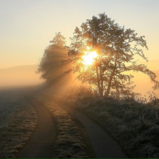 Rising Haze On November Fields